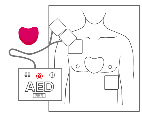 PUSH＆AED体験セット